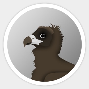 Cinereous Vulture Sticker